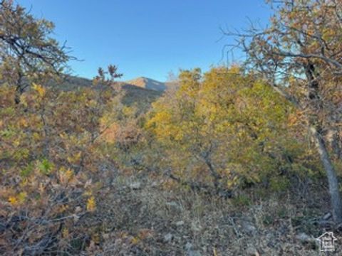 Tiny photo for 10 E SPRING MOUNTAIN DR #10, Springville, UT 84663 (MLS # 2085956)