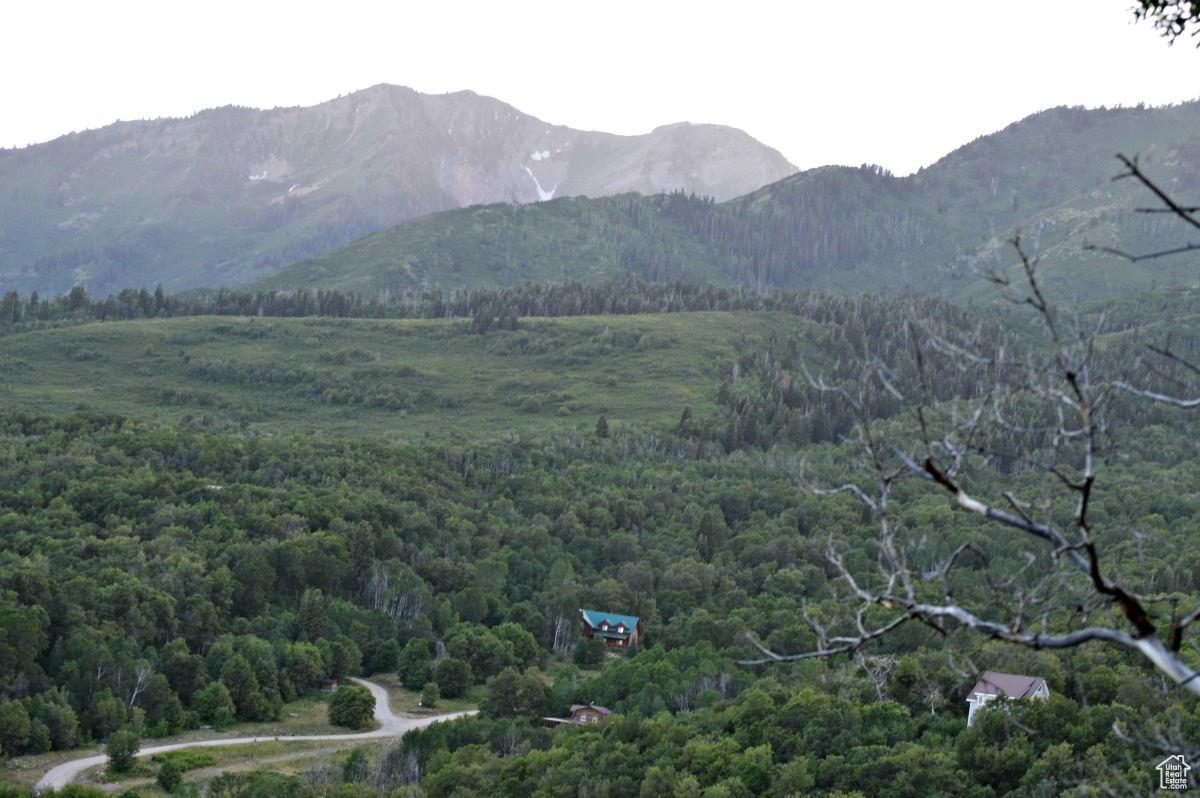 UPPER WHITTEMORE - Land