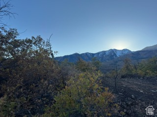 UPPER WHITTEMORE - Land