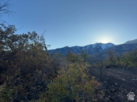 Tiny photo for 10 E SPRING MOUNTAIN DR #10, Springville, UT 84663 (MLS # 2085956)