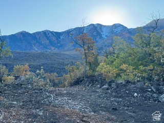 UPPER WHITTEMORE - Land