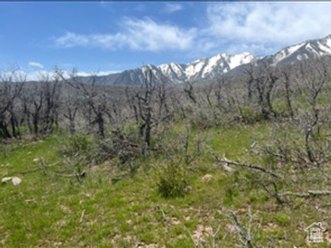 Tiny photo for 10 E SPRING MOUNTAIN DR #10, Springville, UT 84663 (MLS # 2085956)