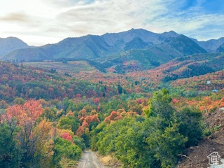 UPPER WHITTEMORE - Land