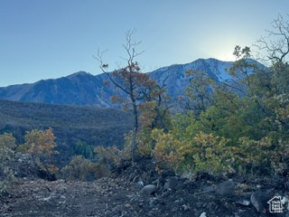 UPPER WHITTEMORE - Land