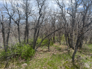 UPPER WHITTEMORE - Land