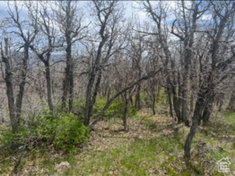Tiny photo for 10 E SPRING MOUNTAIN DR #10, Springville, UT 84663 (MLS # 2085956)