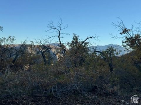 Tiny photo for 10 E SPRING MOUNTAIN DR #10, Springville, UT 84663 (MLS # 2085956)