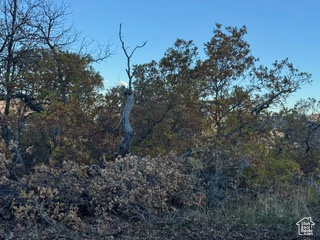 UPPER WHITTEMORE - Land