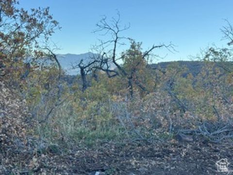 Tiny photo for 10 E SPRING MOUNTAIN DR #10, Springville, UT 84663 (MLS # 2085956)