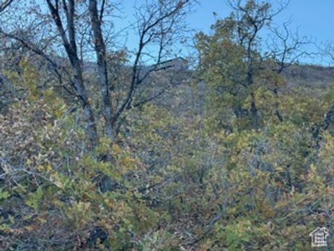 Tiny photo for 10 E SPRING MOUNTAIN DR #10, Springville, UT 84663 (MLS # 2085956)