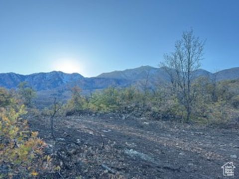 Tiny photo for 10 E SPRING MOUNTAIN DR #10, Springville, UT 84663 (MLS # 2085956)