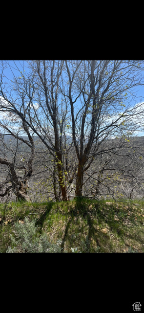 UPPER WHITTEMORE - Land