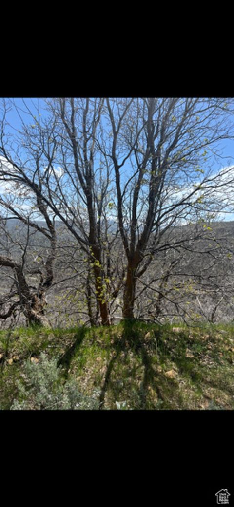 Tiny photo for 10 E SPRING MOUNTAIN DR #10, Springville, UT 84663 (MLS # 2085956)