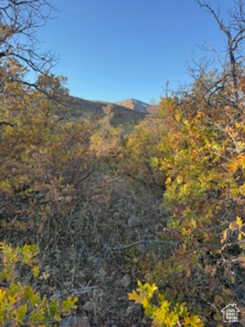Tiny photo for 10 E SPRING MOUNTAIN DR #10, Springville, UT 84663 (MLS # 2085956)