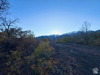 UPPER WHITTEMORE - Land