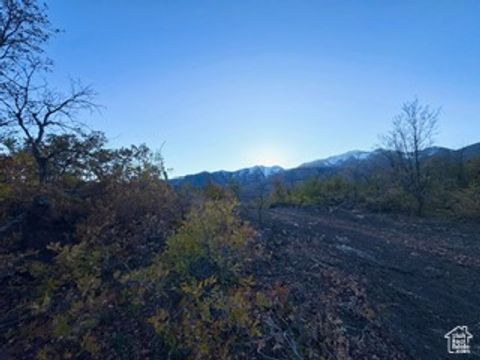 Tiny photo for 10 E SPRING MOUNTAIN DR #10, Springville, UT 84663 (MLS # 2085956)