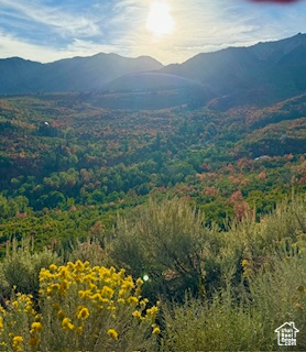 UPPER WHITTEMORE - Land