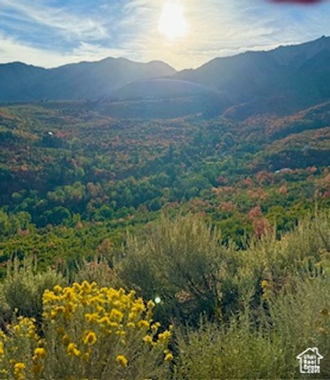 Tiny photo for 10 E SPRING MOUNTAIN DR #10, Springville, UT 84663 (MLS # 2085956)