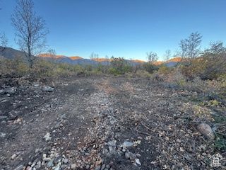 UPPER WHITTEMORE - Land