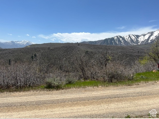 UPPER WHITTEMORE - Land