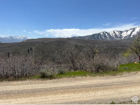 Tiny photo for 10 E SPRING MOUNTAIN DR #10, Springville, UT 84663 (MLS # 2085956)