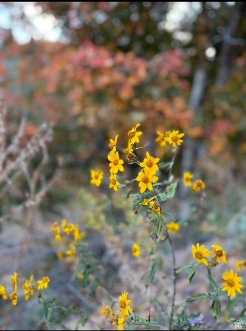 Tiny photo for 10 E SPRING MOUNTAIN DR #10, Springville, UT 84663 (MLS # 2085956)