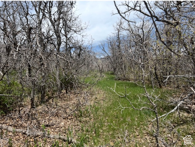 UPPER WHITTEMORE - Land