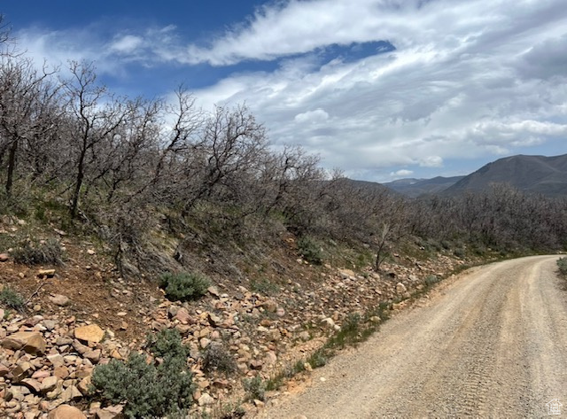 UPPER WHITTEMORE - Land