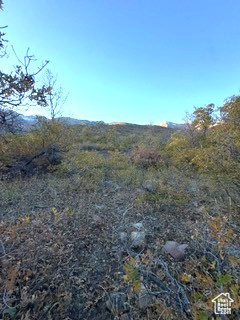 UPPER WHITTEMORE - Land