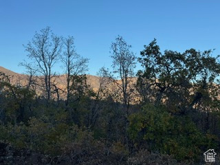 UPPER WHITTEMORE - Land