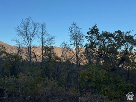 Tiny photo for 10 E SPRING MOUNTAIN DR #10, Springville, UT 84663 (MLS # 2085956)
