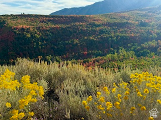 UPPER WHITTEMORE - Land