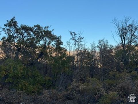 Tiny photo for 10 E SPRING MOUNTAIN DR #10, Springville, UT 84663 (MLS # 2085956)