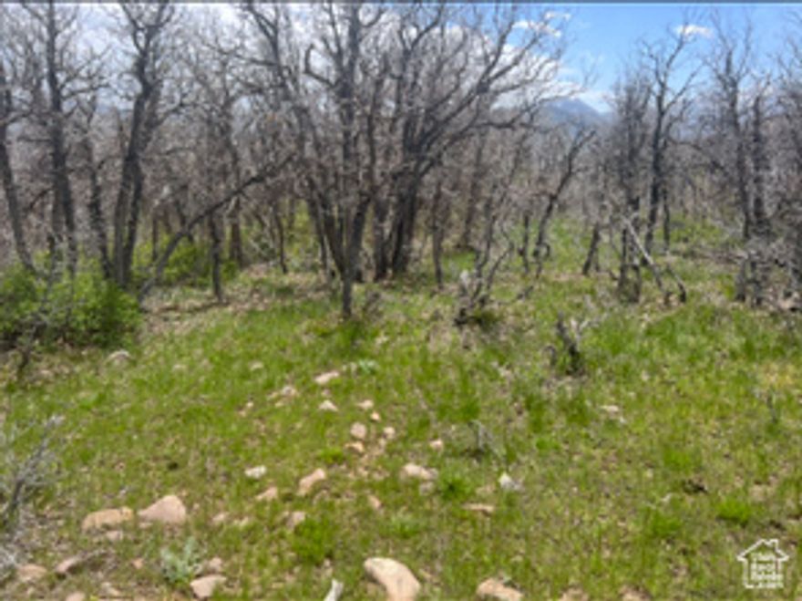Flat terrain and on top of it all ! You will enjoy the gorgeous landscapes and wide-open views in every direction! Lot 10 is in the lower section of the Upper Whittemore MHD. Electrical & telephone are in this area of the development. Only a few minutes from the main canyon road, the access to the property is just short of year-round. Don't miss this rare opportunity to own your piece of Heaven! UWMHD is in close proximity to many BLM trails within the Canyon. Take in the beautiful nature, wildlife and gorgeous scenery while riding your ATVs, horses, snowmobiles, hiking or just staying home and lounging around in your cabin or camp trailer! You will experience the Utah Seasons with Springtime as the mountains come alive! The summers of green with the beauty of the trees, wildflowers & ferns, and the sounds of rushing water as the streams flow. The fiery colors of oak, maple, and aspen will make the fall a warming surprise to you and your family each and every year! Winter snowfalls provide excellent skiing and snowmobiling activities, adding beauty to the landscape.