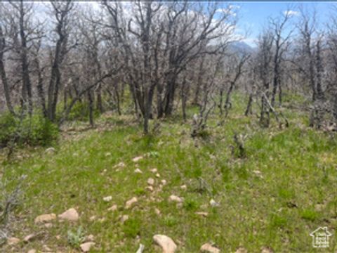 Tiny photo for 10 E SPRING MOUNTAIN DR #10, Springville, UT 84663 (MLS # 2085956)