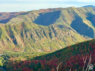 UPPER WHITTEMORE - Land