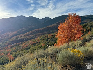 UPPER WHITTEMORE - Land