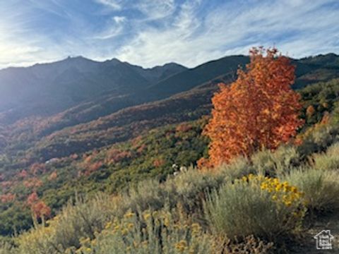 Tiny photo for 10 E SPRING MOUNTAIN DR #10, Springville, UT 84663 (MLS # 2085956)