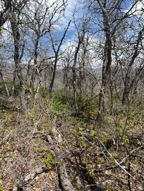 Tiny photo for 10 E SPRING MOUNTAIN DR #10, Springville, UT 84663 (MLS # 2085956)