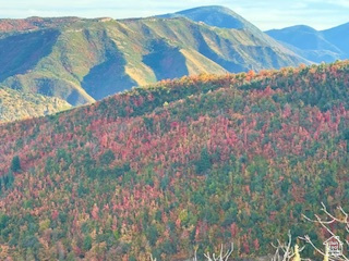 UPPER WHITTEMORE - Land