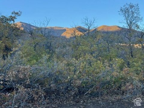 Tiny photo for 10 E SPRING MOUNTAIN DR #10, Springville, UT 84663 (MLS # 2085956)