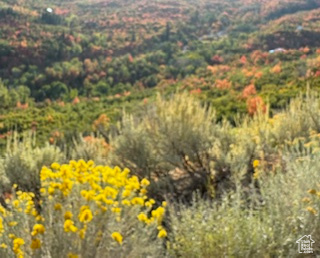 UPPER WHITTEMORE - Land