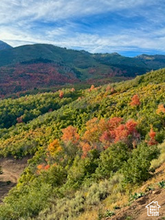 UPPER WHITTEMORE - Land