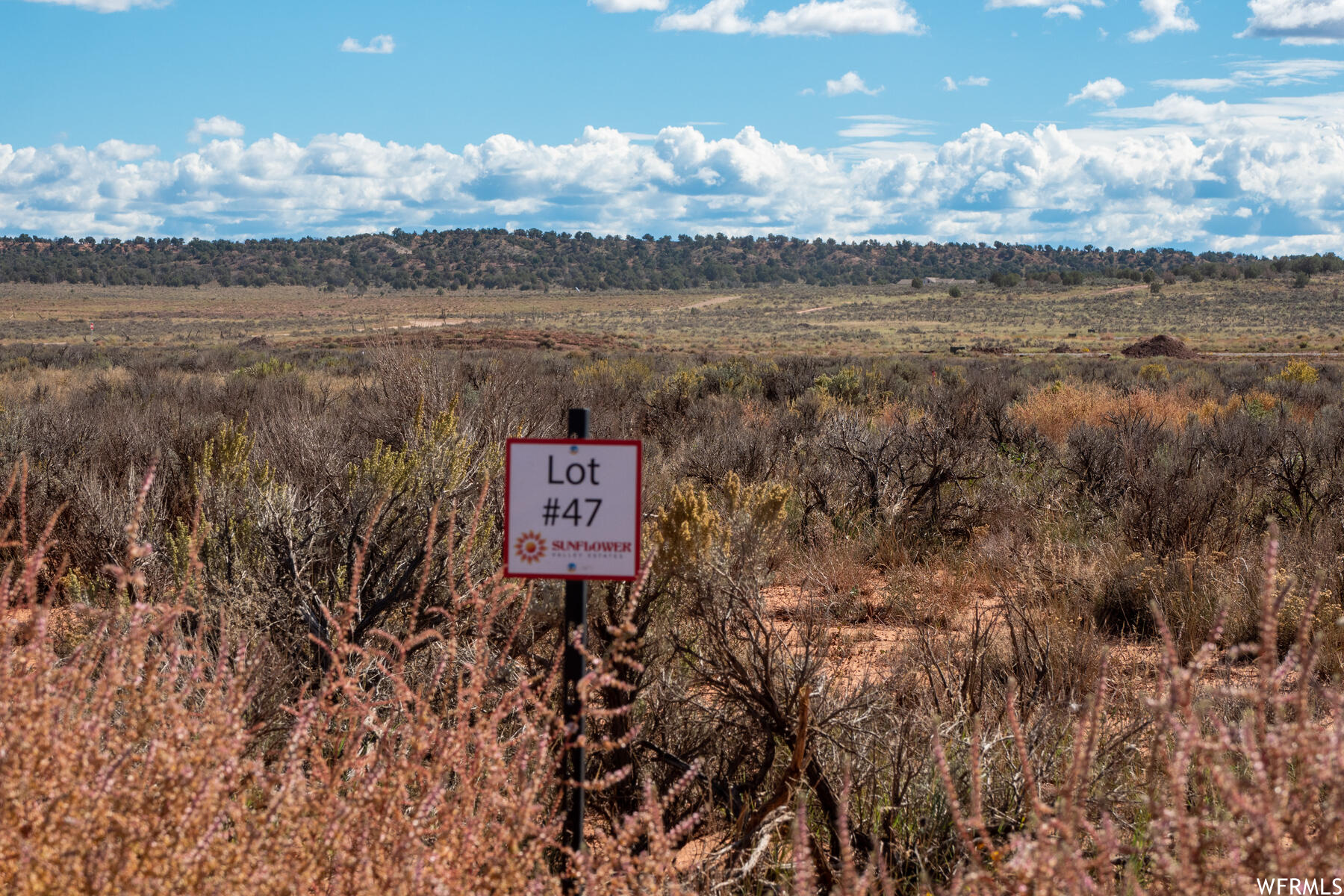 47 Sego Lily Cir, Kanab, Utah image 3