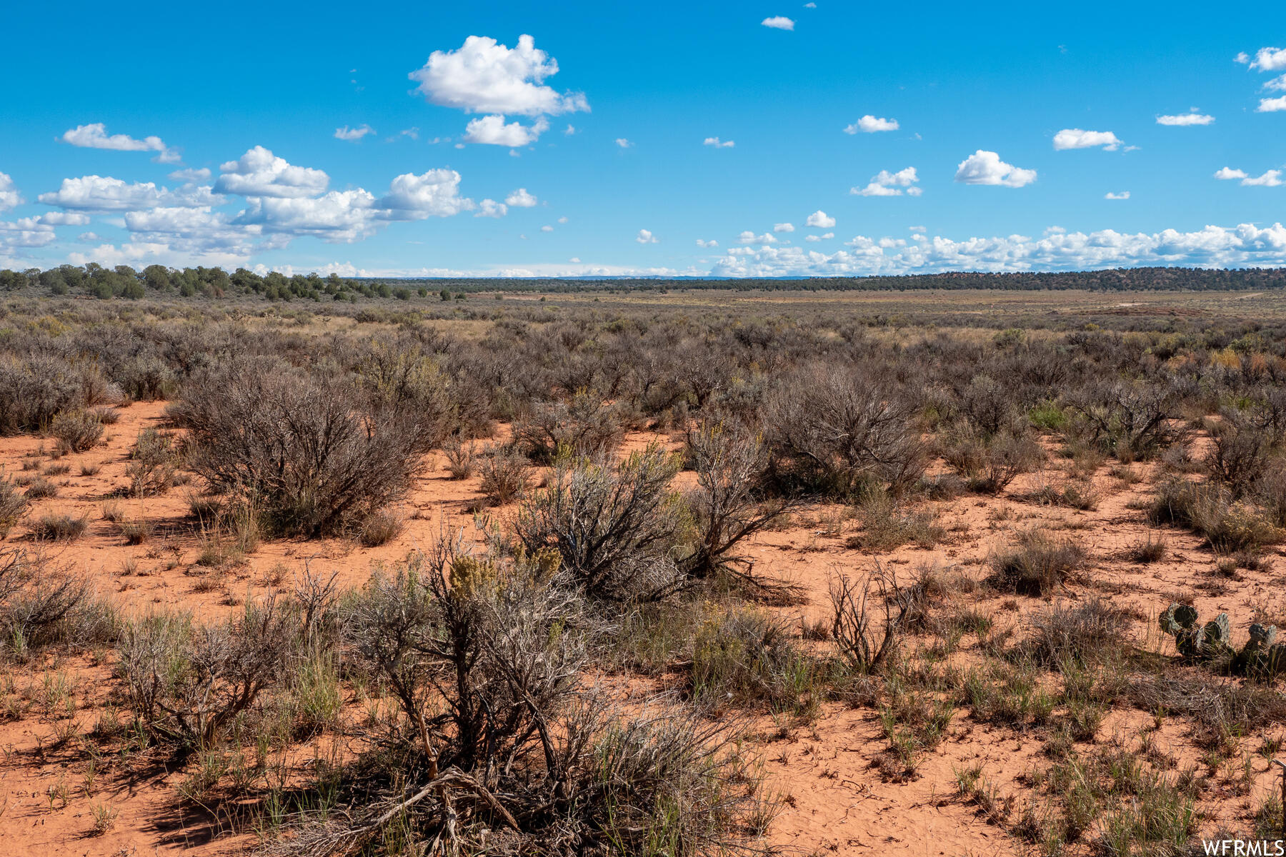 47 Sego Lily Cir, Kanab, Utah image 25