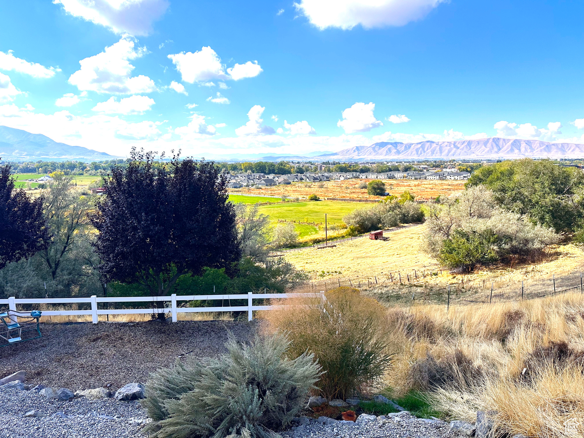 WOLF HOLLOW ESTATES - Residential