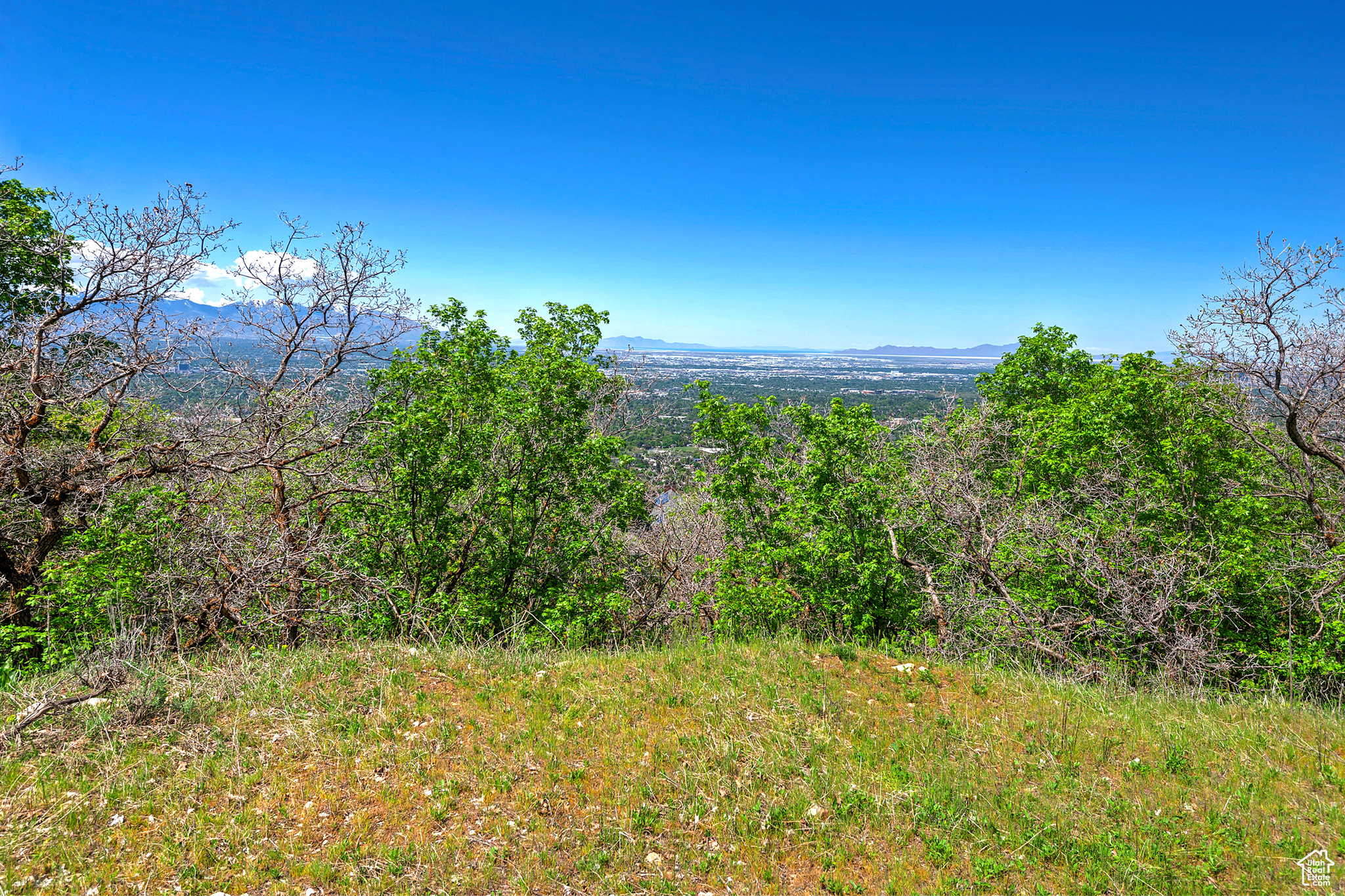 SKYLINE HILLS - Land