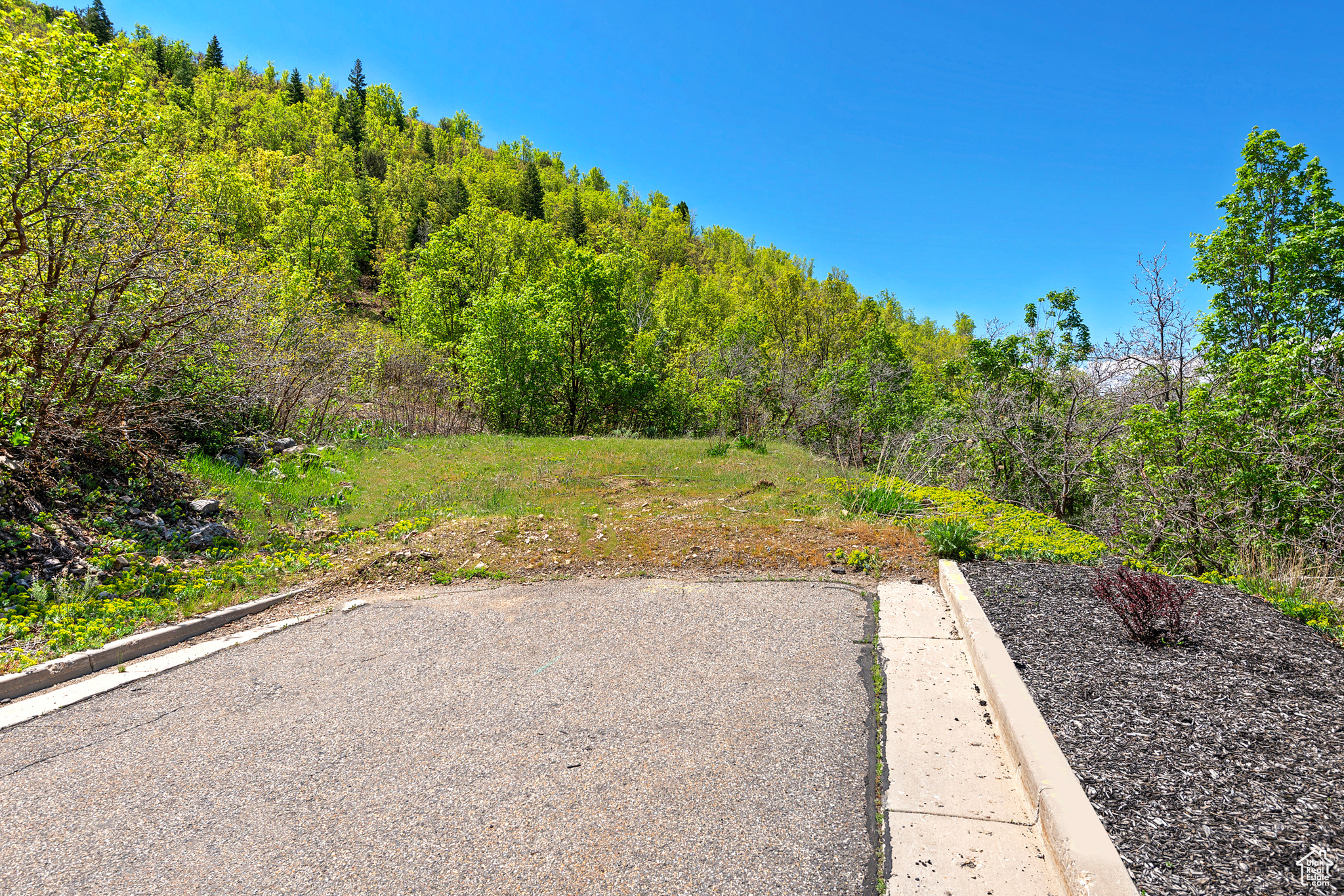 SKYLINE HILLS - Land