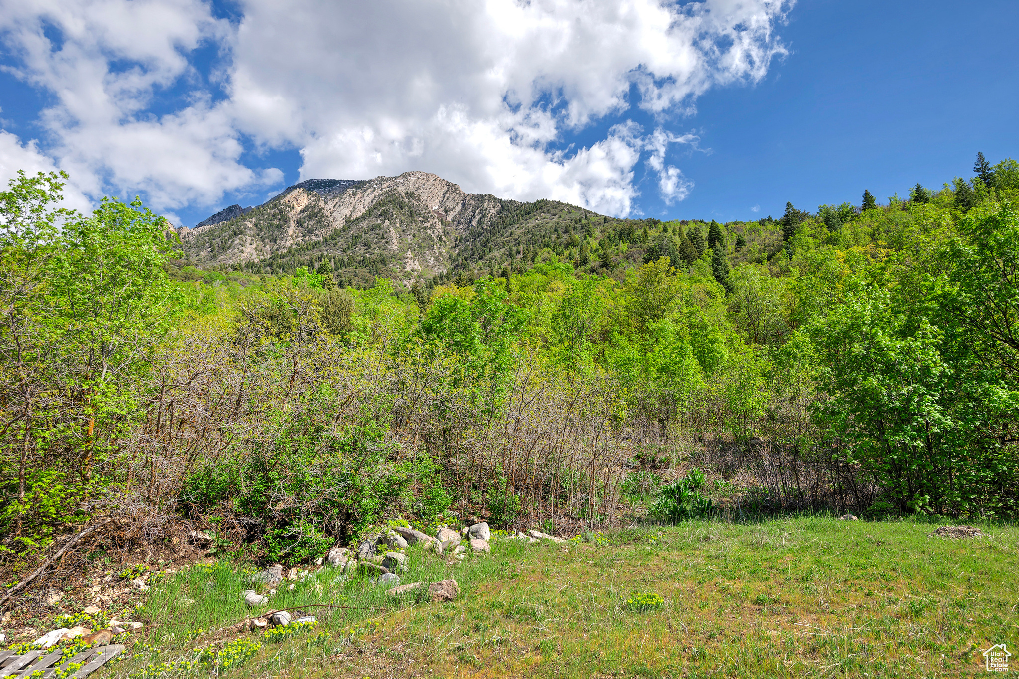 SKYLINE HILLS - Land