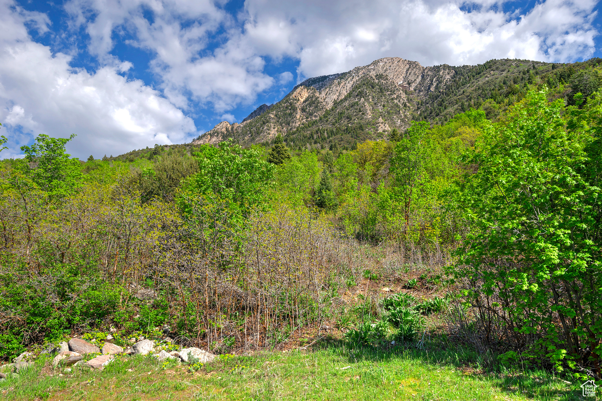 SKYLINE HILLS - Land